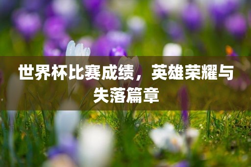 世界杯比赛成绩