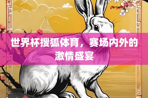 世界杯搜狐体育，赛场内外的激情盛宴