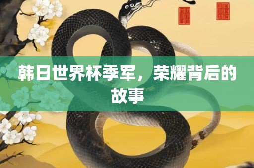 韩日世界杯季军，荣耀背后的故事