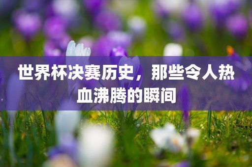 世界杯决赛历史，那些令人热血沸腾的瞬间