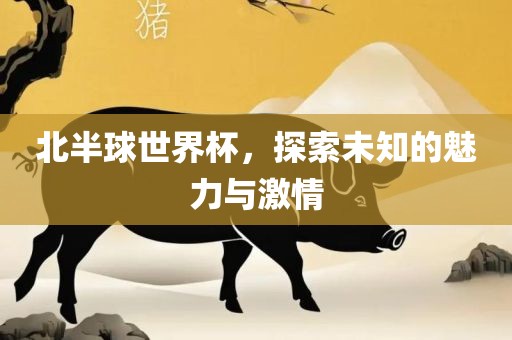 北半球世界杯，探索未知的魅力与激情