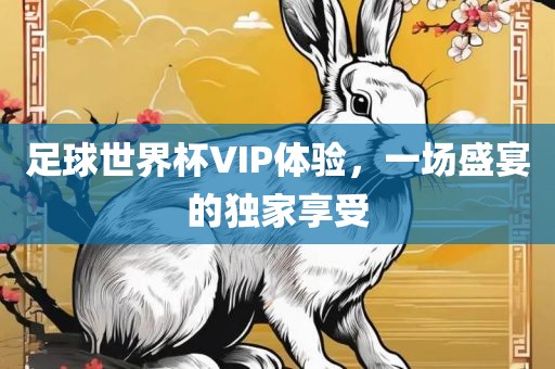 足球世界杯VIP体验，一场盛宴的独家享受