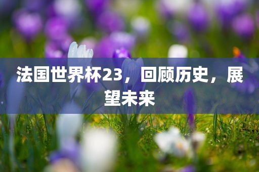 法国世界杯23，回顾历史，展望未来