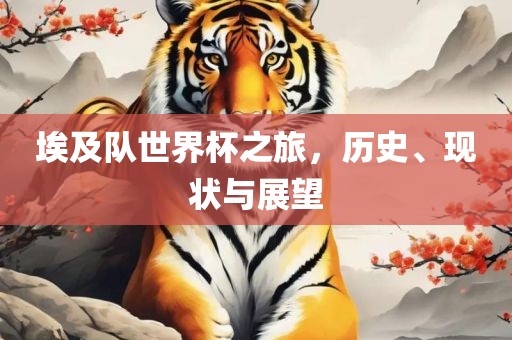 埃及队世界杯之旅，历史、现状与展望