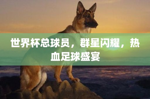 世界杯总球员，群星闪耀，热血足球盛宴