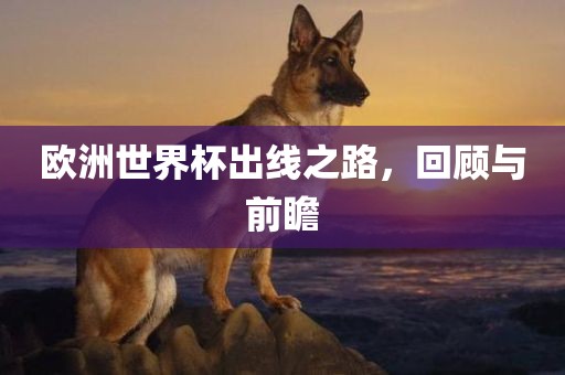 欧洲世界杯出线之路，回顾与前瞻