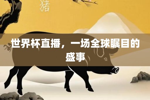 世界杯直播，一场全球瞩目的盛事