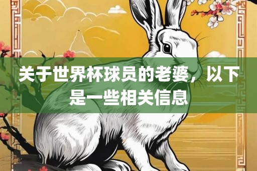 关于世界杯球员的老婆，以下是一些相关信息