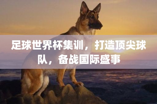 足球世界杯集训，打造顶尖球队，备战国际盛事
