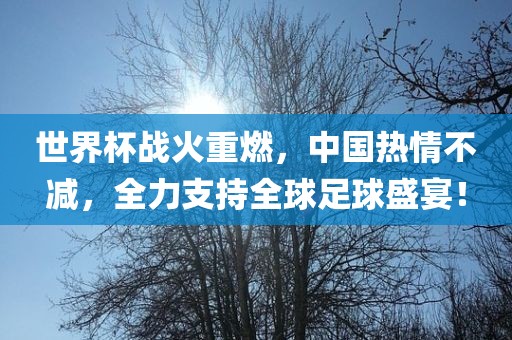 世界杯战火重燃，中国热情不减，全力支持全球足球盛宴！