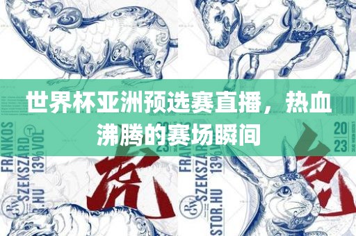 世界杯亚洲预选赛直播，热血沸腾的赛场瞬间