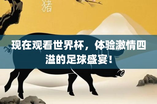 现在观看世界杯，体验激情四溢的足球盛宴！