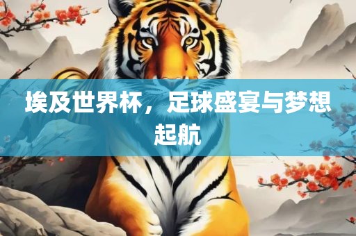 埃及世界杯，足球盛宴与梦想起航