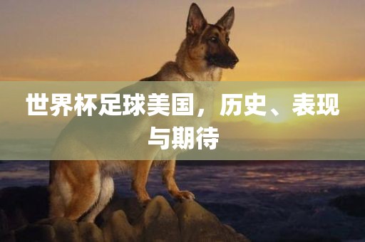 世界杯足球美国，历史、表现与期待