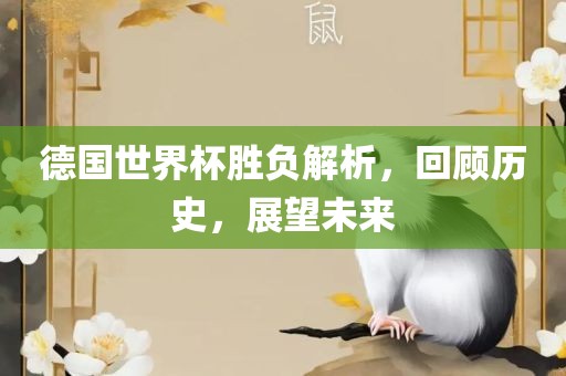 德国世界杯胜负解析，回顾历史，展望未来