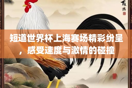 短道世界杯上海赛场精彩纷呈，感受速度与激情的碰撞