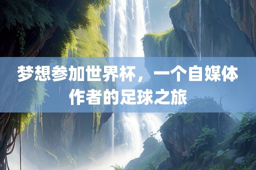 梦想参加世界杯，一个自媒体作者的足球之旅