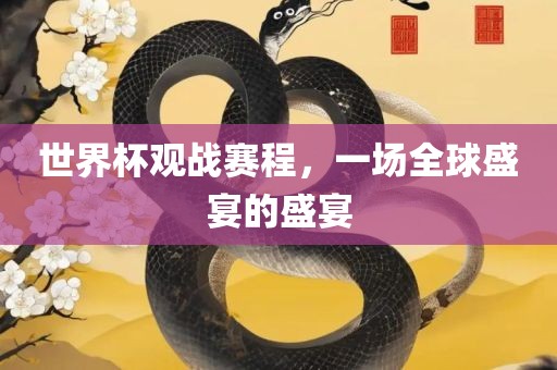 世界杯观战赛程，一场全球盛宴的盛宴