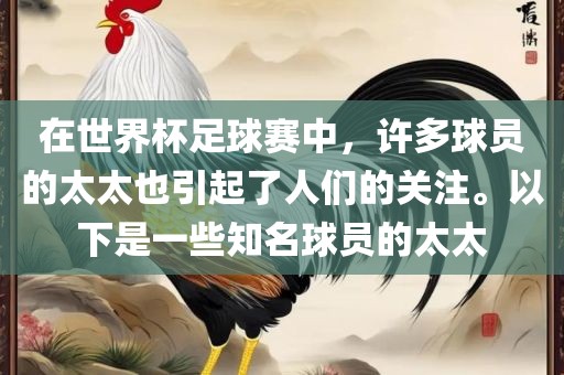 在世界杯足球赛中，许多球员的太太也引起了人们的关注。以下是一些知名球员的太太