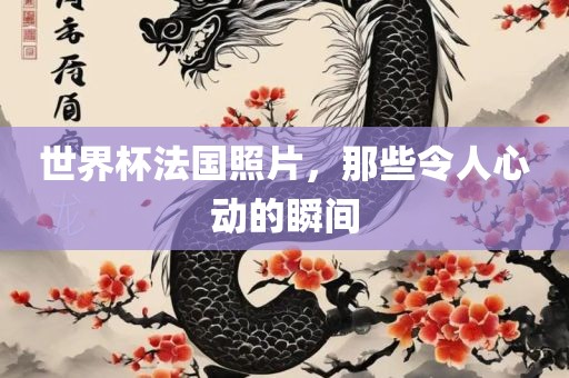 世界杯法国照片，那些令人心动的瞬间