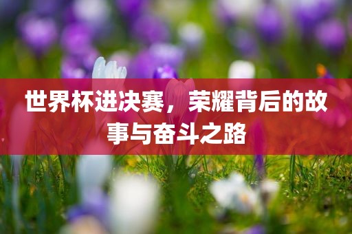 世界杯进决赛，荣耀背后的故事与奋斗之路