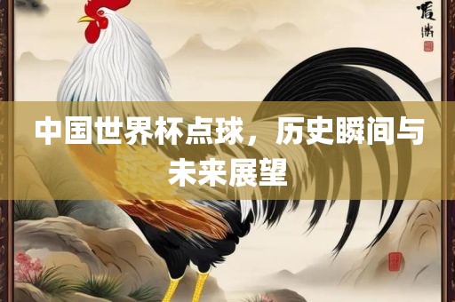 中国世界杯点球，历史瞬间与未来展望