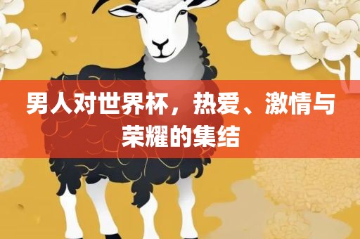 男人对世界杯，热爱、激情与荣耀的集结