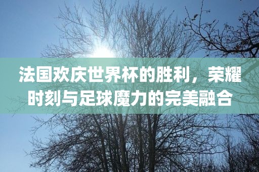 法国欢庆世界杯的胜利，荣耀时刻与足球魔力的完美融合