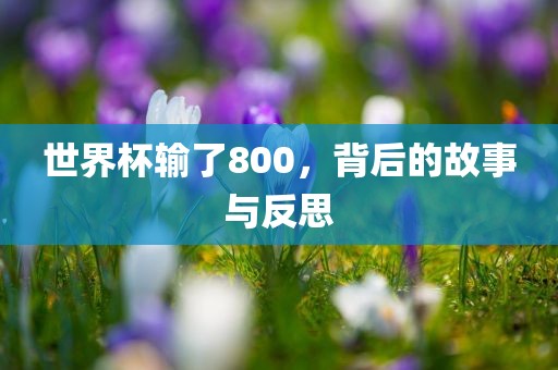 世界杯输了800，背后的故事与反思