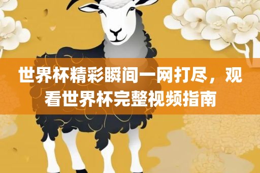 世界杯精彩瞬间一网打尽，观看世界杯完整视频指南