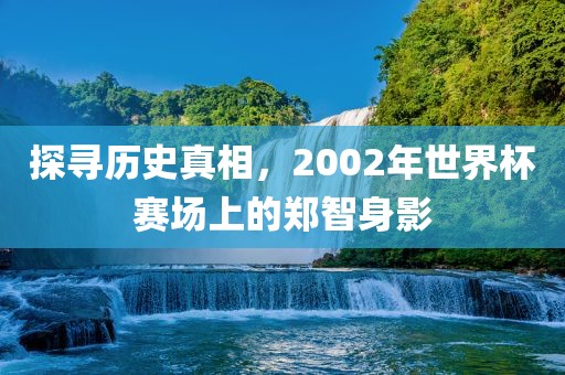 探寻历史真相，20眉山市正发家政服务有限公司02年世界杯赛场上的郑智身影