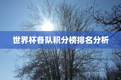 世界杯各队积分榜排名分析