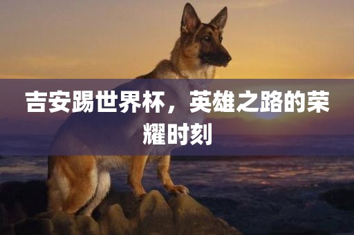 吉安踢世界杯，英雄之路的荣耀时刻