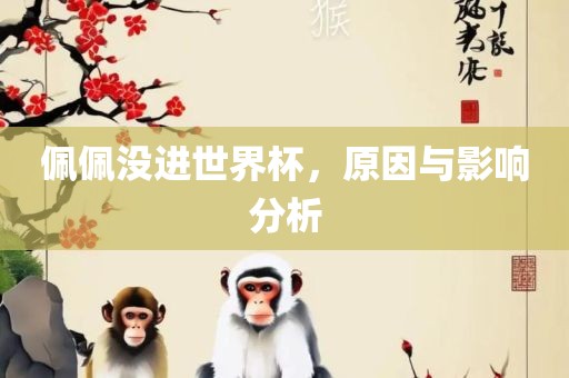 佩佩没进世界杯，原因与影响分析