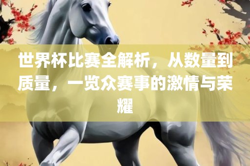 世界杯比赛全解析，从数量到质量，一览众赛事的激情与荣耀