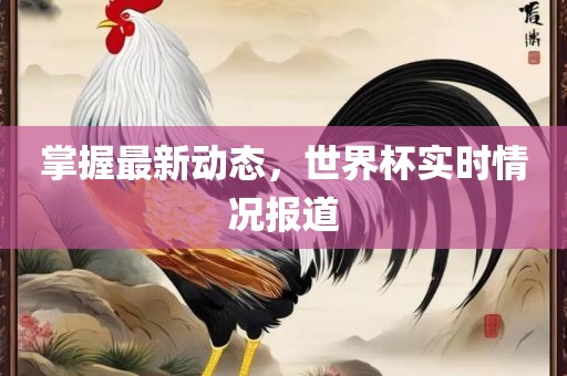 掌握最新动态，世界杯实时情况报道