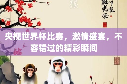 央视世界杯比赛，激情盛宴，不容错过的精彩瞬间