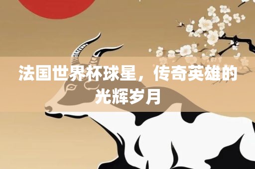 法国世界杯球星，传奇英雄的光辉岁月