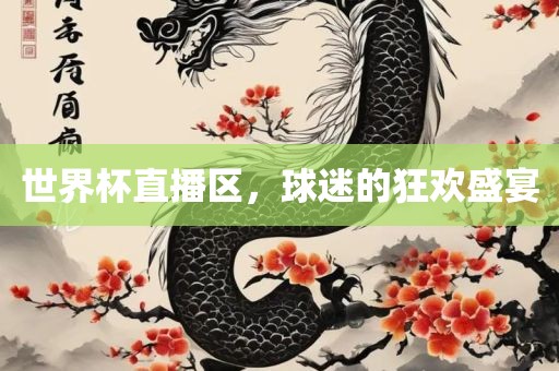 世界杯直播区，球迷的狂欢盛宴