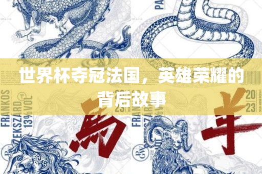 世界杯夺冠法国，英雄荣耀的背后故事
