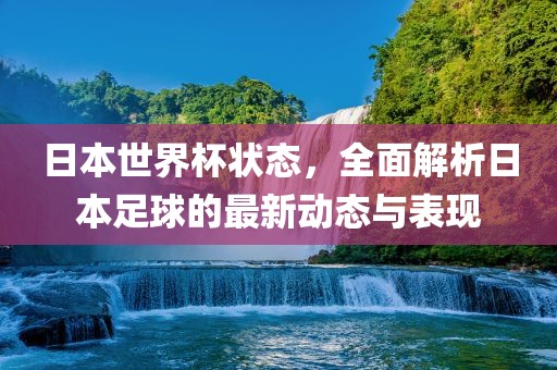 日本世界杯状态，全面解析日本足球的最新动态与表现