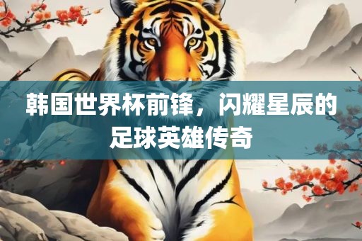 韩国世界杯前锋，闪耀星辰的足球英雄传奇