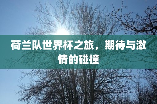 荷兰队世界杯之旅，期待与激情的碰撞