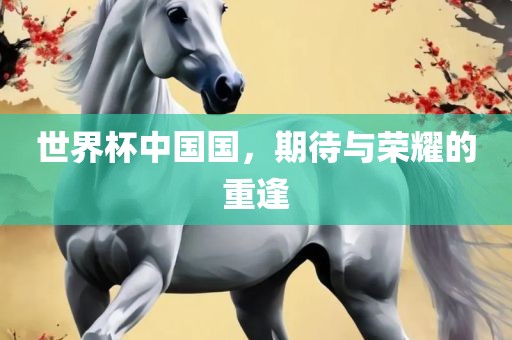 世界杯中国国，期待与荣耀的重逢