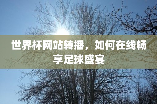 世界杯网站转播，如何在线畅享足球盛宴