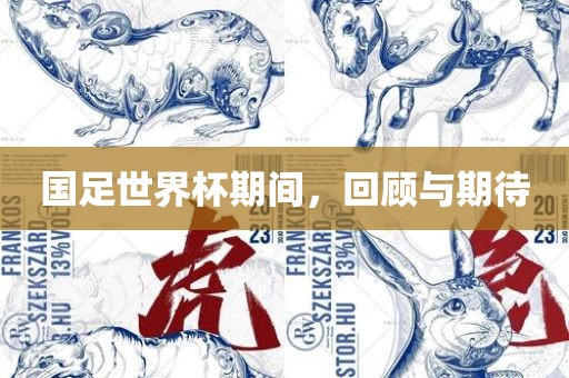 国足世界杯期间，回顾与期待