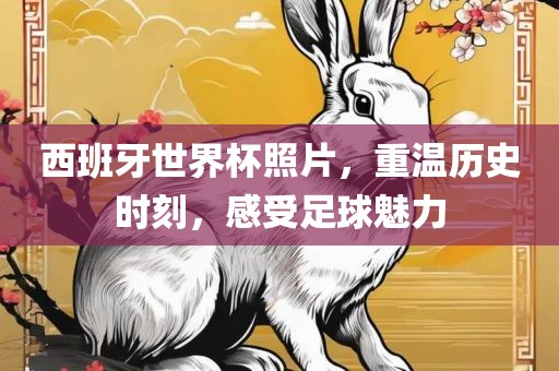 西班牙世界杯照片，重温历史时刻，感受足球魅力