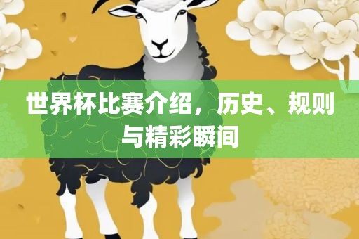 世界杯比赛介绍，历史、规则与精彩瞬间