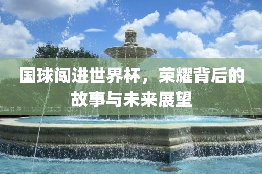 国球闯进世界杯，荣耀背后的故事与未来展望