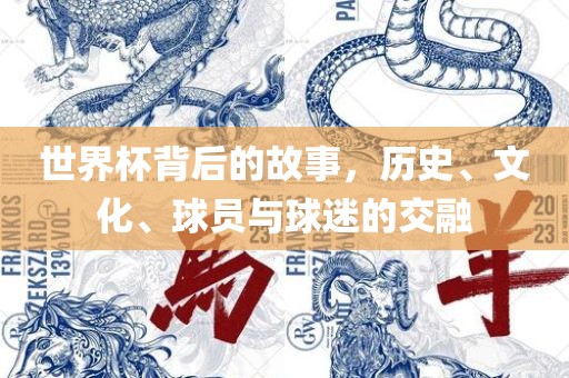 世界杯背后的故事，历史、文化、球员与球迷的交融眉山市正发家政服务有限公司